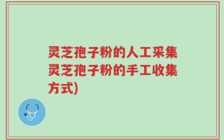 灵芝孢子粉的人工采集灵芝孢子粉的手工收集方式)