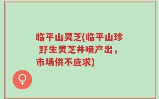 临平山灵芝(临平山珍 野生灵芝井喷产出，市场供不应求)