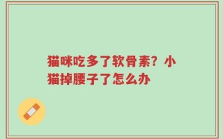 猫咪吃多了软骨素？小猫掉腰子了怎么办