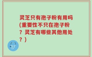 灵芝只有孢子粉有用吗(重要性不只在孢子粉？灵芝有哪些其他用处？)