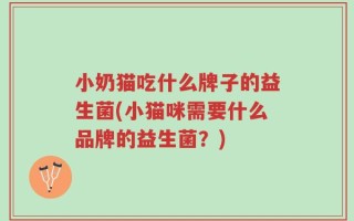 小奶猫吃什么牌子的益生菌(小猫咪需要什么品牌的益生菌？)