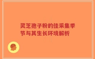 灵芝孢子粉的佳采集季节与其生长环境解析