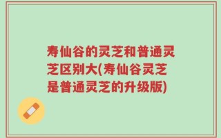 寿仙谷的灵芝和普通灵芝区别大(寿仙谷灵芝是普通灵芝的升级版)