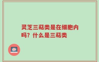 灵芝三萜类是在细胞内吗？什么是三萜类