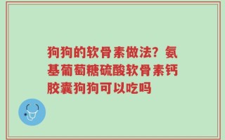 狗狗的软骨素做法？氨基葡萄糖硫酸软骨素钙胶囊狗狗可以吃吗