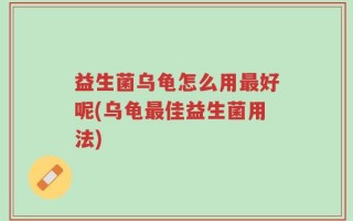 益生菌乌龟怎么用最好呢(乌龟最佳益生菌用法)