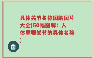 具体关节名称图解图片大全(50幅图解：人体重要关节的具体名称)