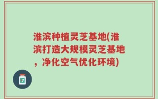 淮滨种植灵芝基地(淮滨打造大规模灵芝基地，净化空气优化环境)