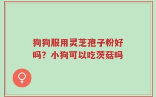 狗狗服用灵芝孢子粉好吗？小狗可以吃茨菇吗