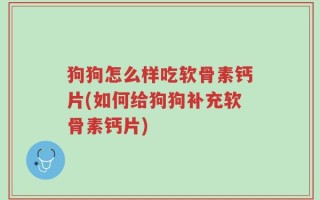 狗狗怎么样吃软骨素钙片(如何给狗狗补充软骨素钙片)