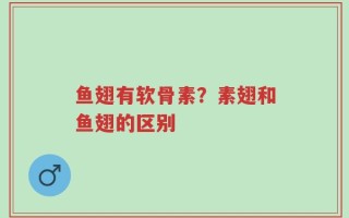 鱼翅有软骨素？素翅和鱼翅的区别