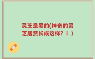 灵芝是黑的(神奇的灵芝居然长成这样？！)