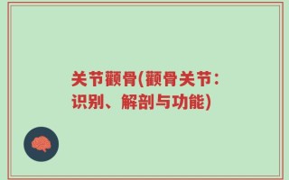 关节颧骨(颧骨关节：识别、解剖与功能)
