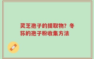 灵芝孢子的提取物？冬荪的孢子粉收集方法