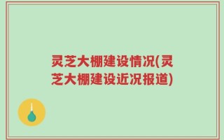 灵芝大棚建设情况(灵芝大棚建设近况报道)