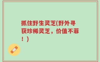 抓住野生灵芝(野外寻获珍稀灵芝，价值不菲！)