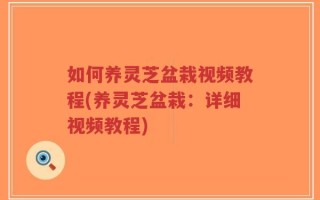 如何养灵芝盆栽视频教程(养灵芝盆栽：详细视频教程)