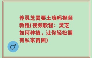 养灵芝需要土壤吗视频教程(视频教程：灵芝如何种植，让你轻松拥有私家苗圃)