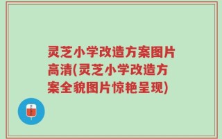 灵芝小学改造方案图片高清(灵芝小学改造方案全貌图片惊艳呈现)