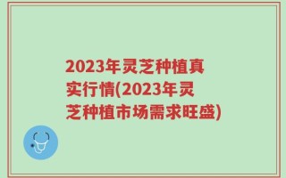 2023年灵芝种植真实行情(2023年灵芝种植市场需求旺盛)