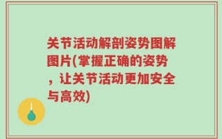 关节活动解剖姿势图解图片(掌握正确的姿势，让关节活动更加安全与高效)
