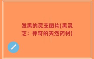 发黑的灵芝图片(黑灵芝：神奇的天然药材)