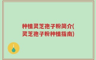 种植灵芝孢子粉简介(灵芝孢子粉种植指南)