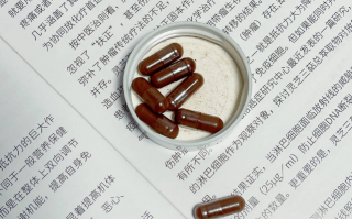 灵芝孢子粉与灵芝区别，一篇文章带你看懂。