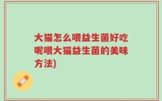 大猫怎么喂益生菌好吃呢喂大猫益生菌的美味方法)
