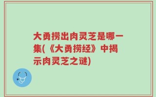 大勇捞出肉灵芝是哪一集(《大勇捞经》中揭示肉灵芝之谜)