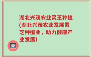 湖北兴茂农业灵芝种植(湖北兴茂农业发展灵芝种植业，助力健康产业发展)