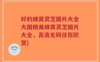 好的蜂窝灵芝图片大全大图精美蜂窝灵芝图片大全，高清无码任你欣赏)
