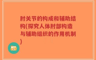 肘关节的构成和辅助结构(探究人体肘部构造与辅助组织的作用机制)
