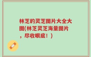 林芝的灵芝图片大全大图(林芝灵芝海量图片，尽收眼底！)