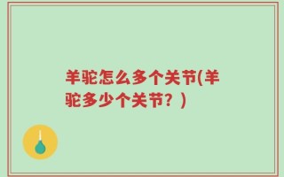 羊驼怎么多个关节(羊驼多少个关节？)