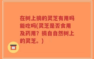 在树上摘的灵芝有用吗能吃吗(灵芝是否食用及药用？摘自自然树上的灵芝。)