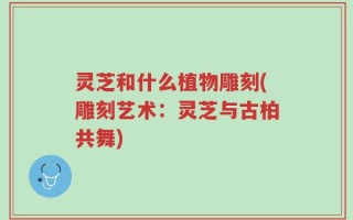 灵芝和什么植物雕刻(雕刻艺术：灵芝与古柏共舞)