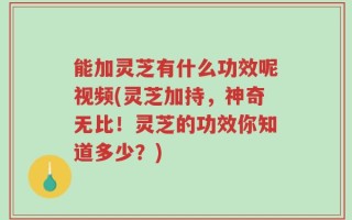 能加灵芝有什么功效呢视频(灵芝加持，神奇无比！灵芝的功效你知道多少？)