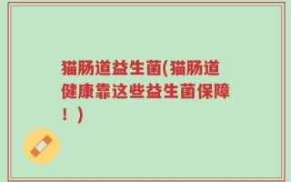 猫肠道益生菌(猫肠道健康靠这些益生菌保障！)
