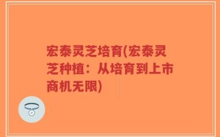 宏泰灵芝培育(宏泰灵芝种植：从培育到上市商机无限)