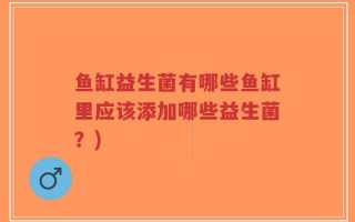 鱼缸益生菌有哪些鱼缸里应该添加哪些益生菌？)