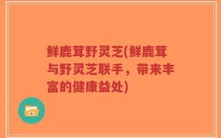 鲜鹿茸野灵芝(鲜鹿茸与野灵芝联手，带来丰富的健康益处)