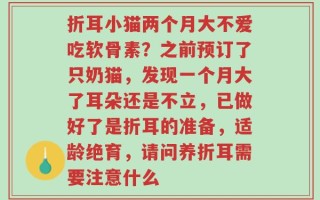 折耳小猫两个月大不爱吃软骨素？之前预订了只奶猫，发现一个月大了耳朵还是不立，已做好了是折耳的准备，适龄绝育，请问养折耳需要注意什么