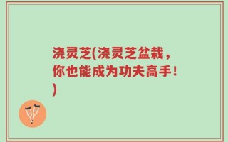 浇灵芝(浇灵芝盆栽，你也能成为功夫高手！)