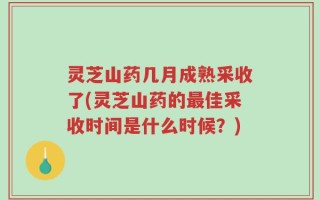 灵芝山药几月成熟采收了(灵芝山药的最佳采收时间是什么时候？)