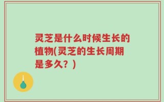 灵芝是什么时候生长的植物(灵芝的生长周期是多久？)
