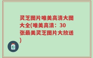 灵芝图片唯美高清大图大全(唯美高清：30张最美灵芝图片大放送)