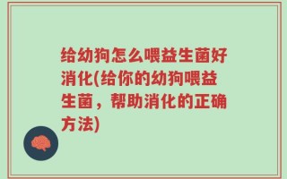 给幼狗怎么喂益生菌好消化(给你的幼狗喂益生菌，帮助消化的正确方法)