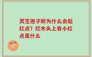 灵芝孢子粉为什么会起红点？烂木头上有小红点是什么