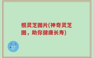 棍灵芝图片(神奇灵芝图，助你健康长寿)